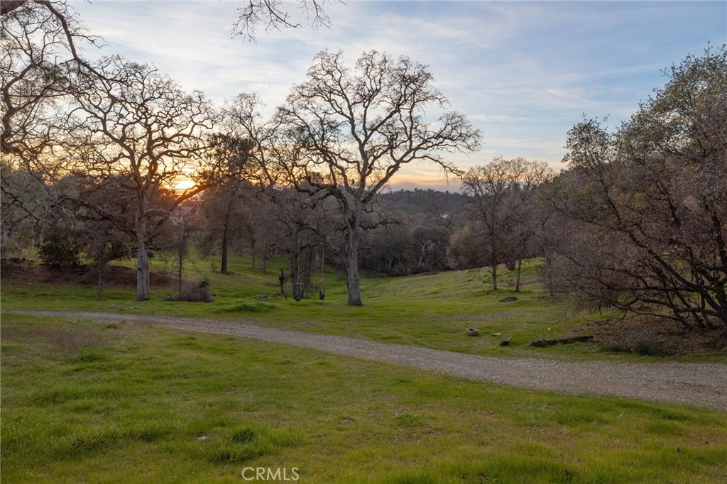 33940 Jennifer Way Coarsegold, CA 93614 - Photo 63 of 75 a view of a park with large trees