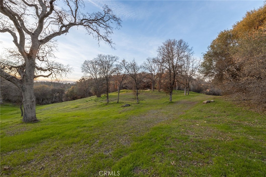 33940 Jennifer Way Coarsegold, CA 93614 - Photo 67 of 75 a view of a park with large trees