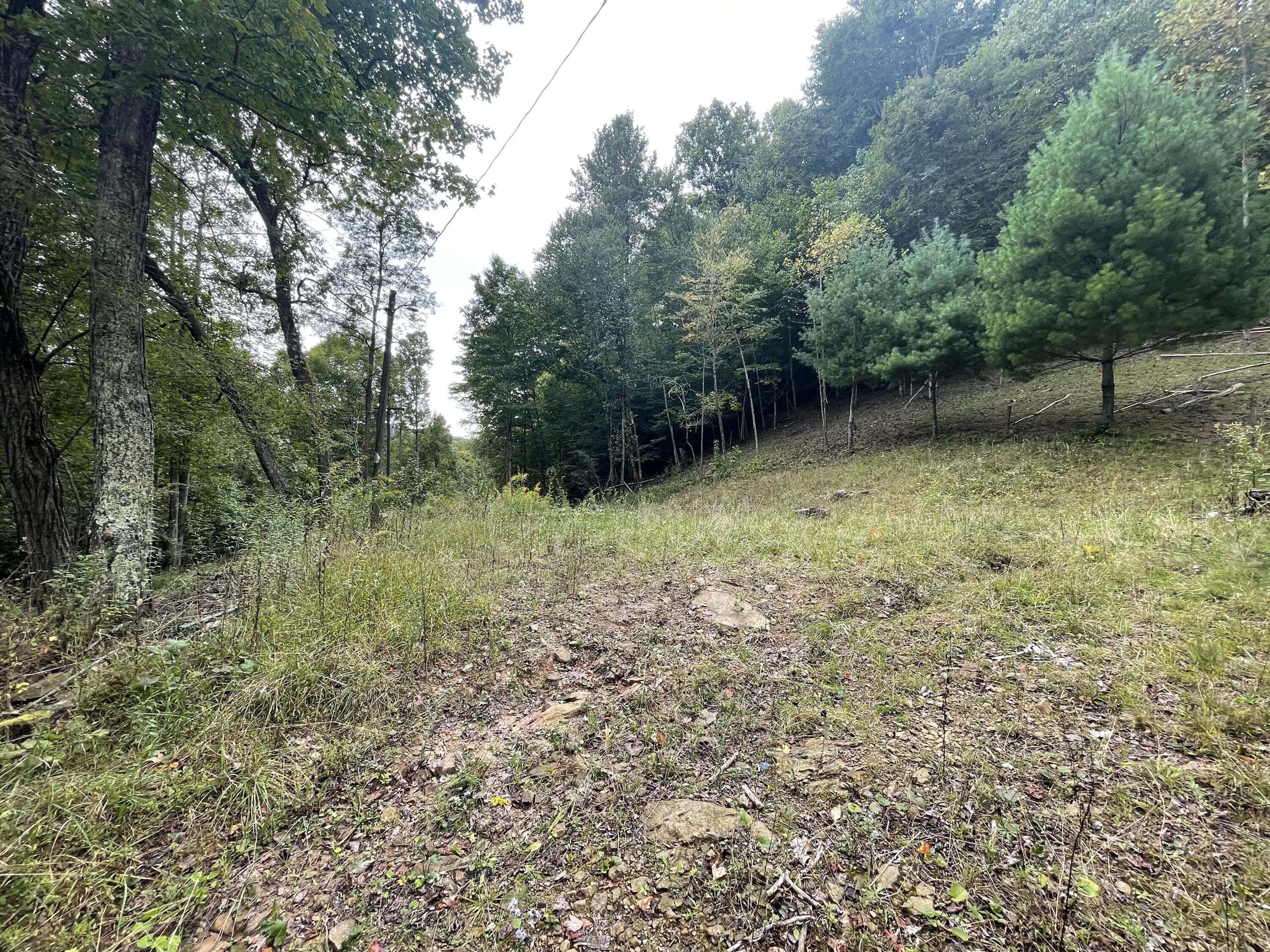 1363 Will Dodd Road Jumping Branch, WV 25969 - Photo 9 of 10 Gallery Image 9