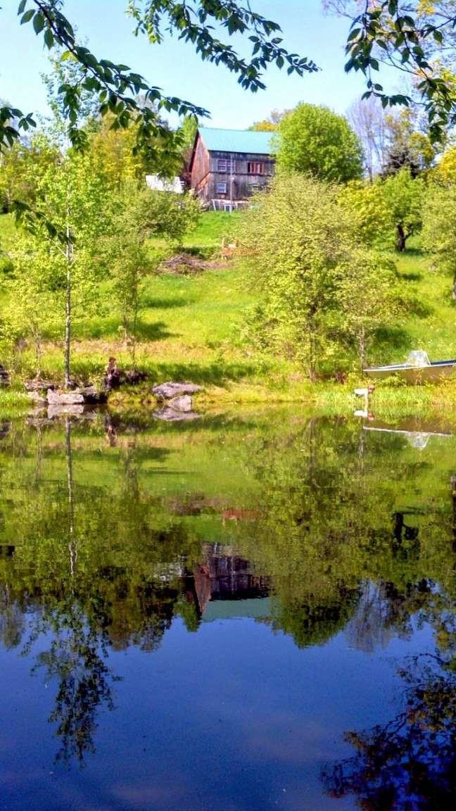 1312 MacIntosh Hill Road Bethel, VT 05060 - Photo 50 of 57