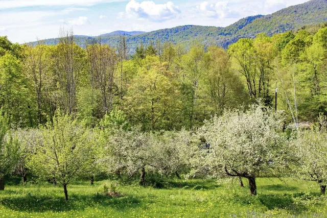 $795,000 | 1312 MacIntosh Hill Road, Bethel, VT 05060