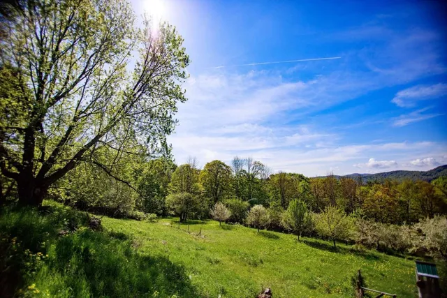 $795,000 | 1312 MacIntosh Hill Road, Bethel, VT 05060