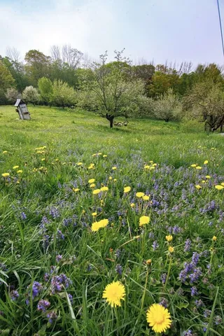 $795,000 | 1312 MacIntosh Hill Road, Bethel, VT 05060