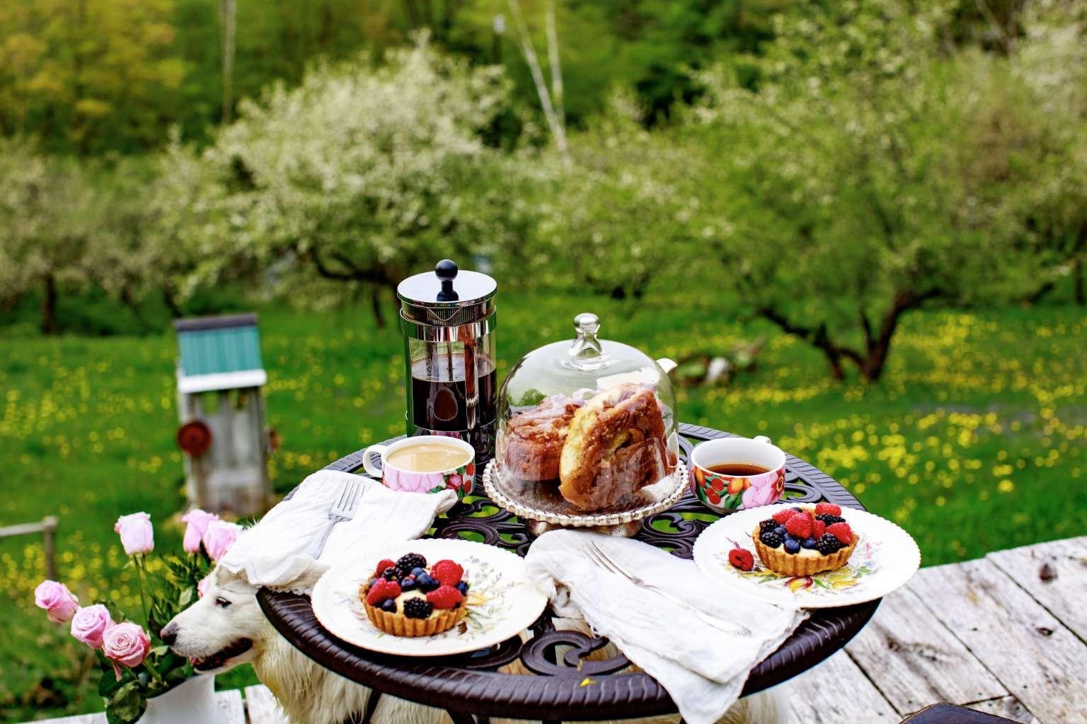 1312 MacIntosh Hill Road Bethel, VT 05060 - Photo 6 of 57