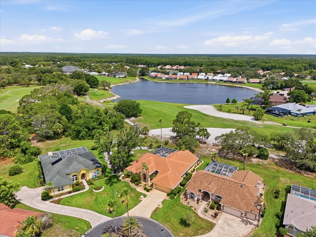 9161 Southern Comfort Court Weeki Wachee, FL 34613 - Photo 41 of 50