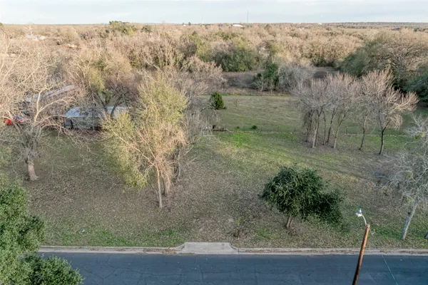 a view of a yard with a tree