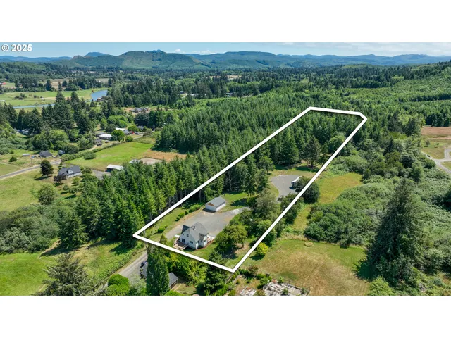 a view of a city with lush green forest