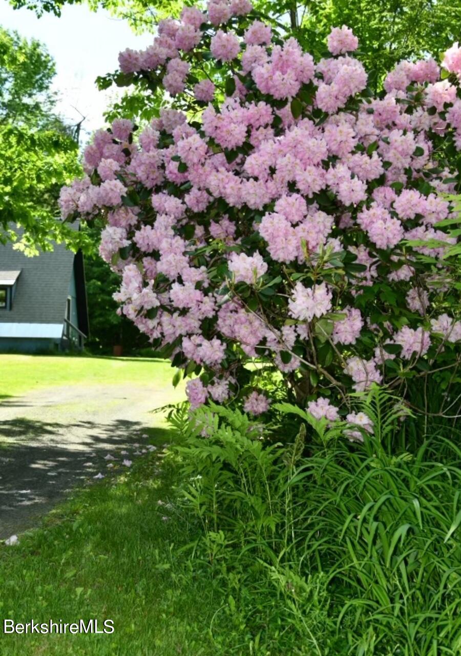 54 Schultz Road Washington, MA 01223 - Photo 27 of 28