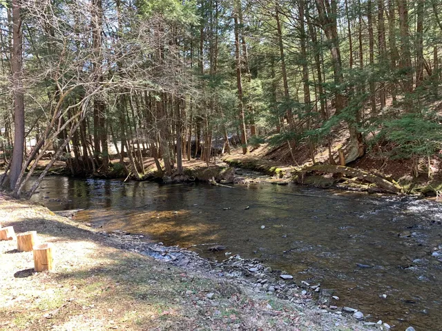 a view of water with large trees