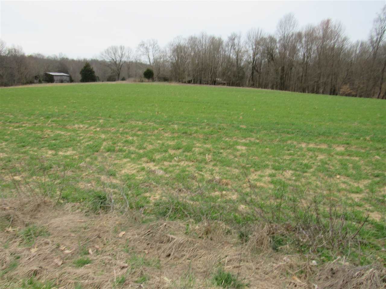 8000 Capitol Hill Road Fountain Run, KY 42133 - Photo 5 of 10 Gallery Image 5