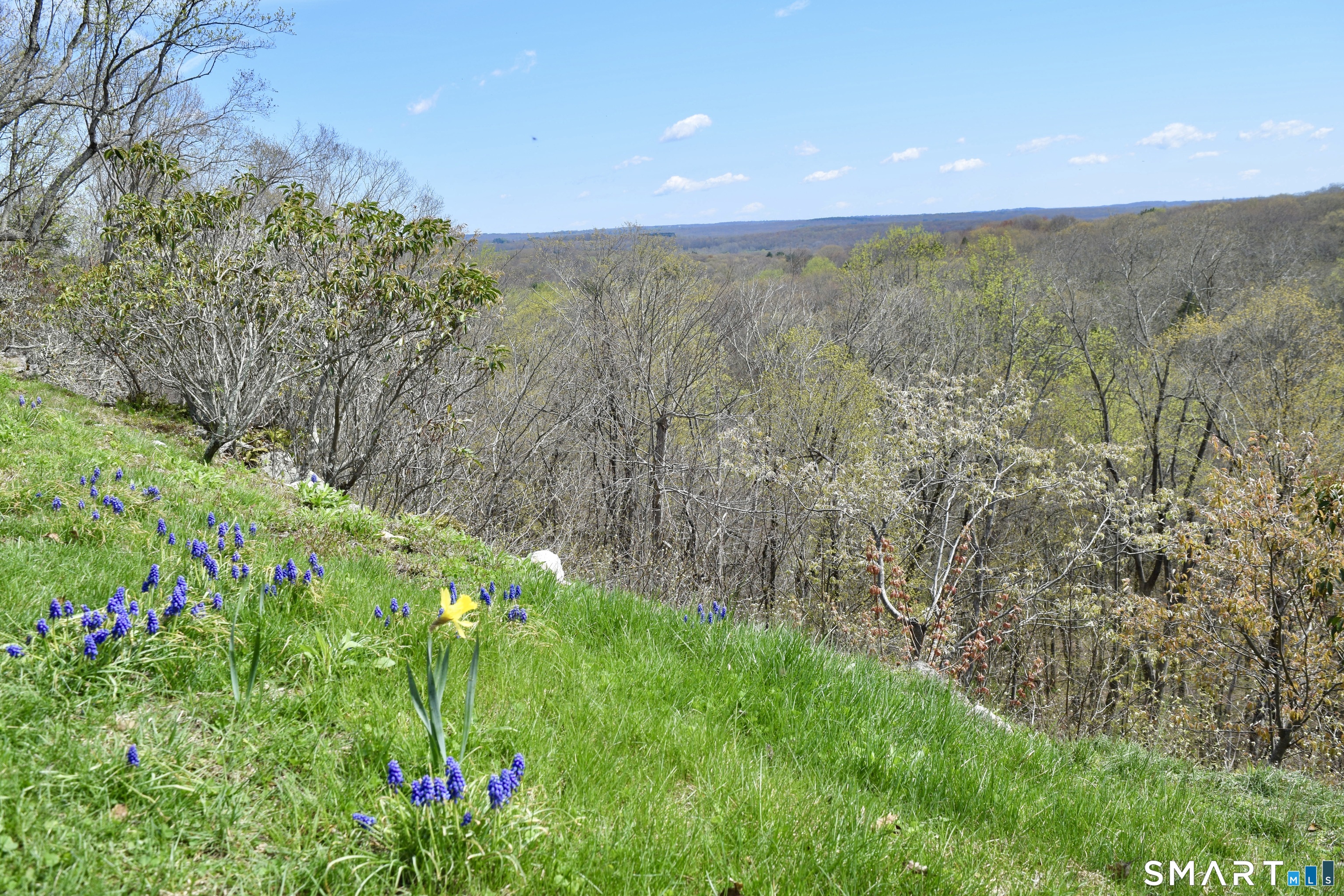 56 Gold Mine Road Roxbury, CT 06783 - Photo 36 of 40 Do you deserve a distant view?