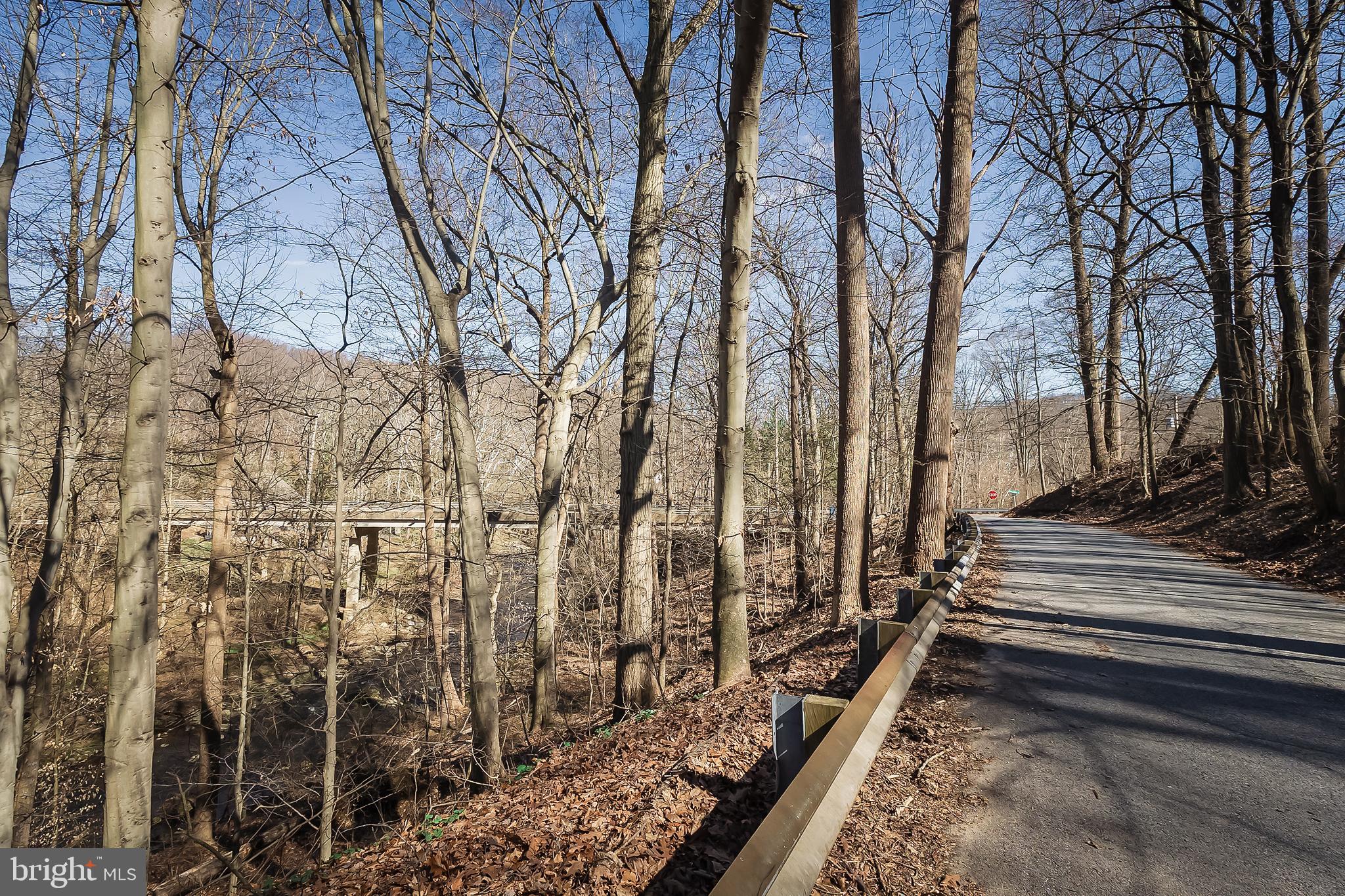 231 Laurel Bridge Road Landenberg, PA 19350 - Photo 53 of 57 a view of a backyard with trees