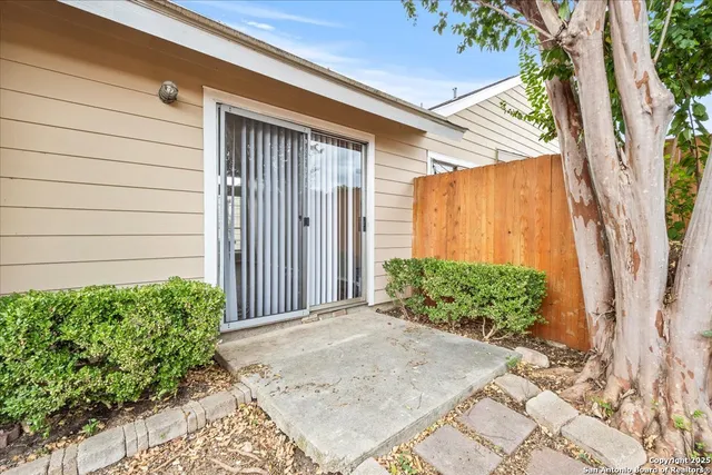 a view of a backyard