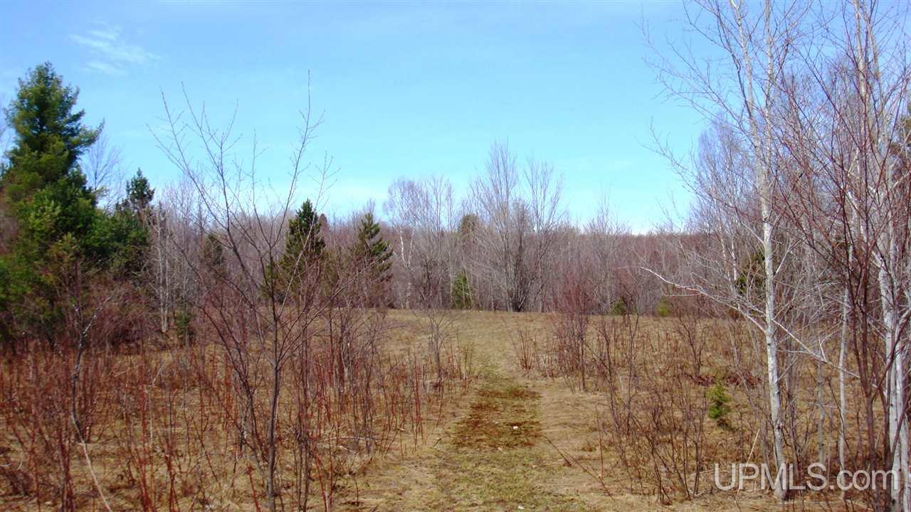 39819 Lower Worham Road Chassell, MI 49916 - Photo 14 of 31 Gallery Image 14