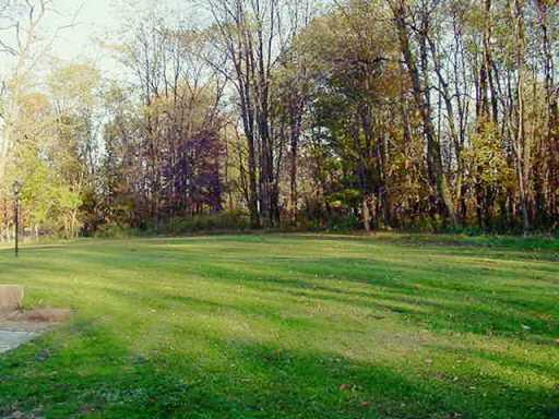 Yard/Garden. 