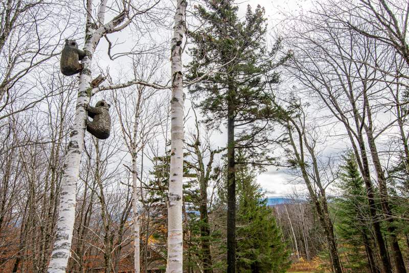 20 Blackberry Lane Peru, VT 05152 - Photo 44 of 52