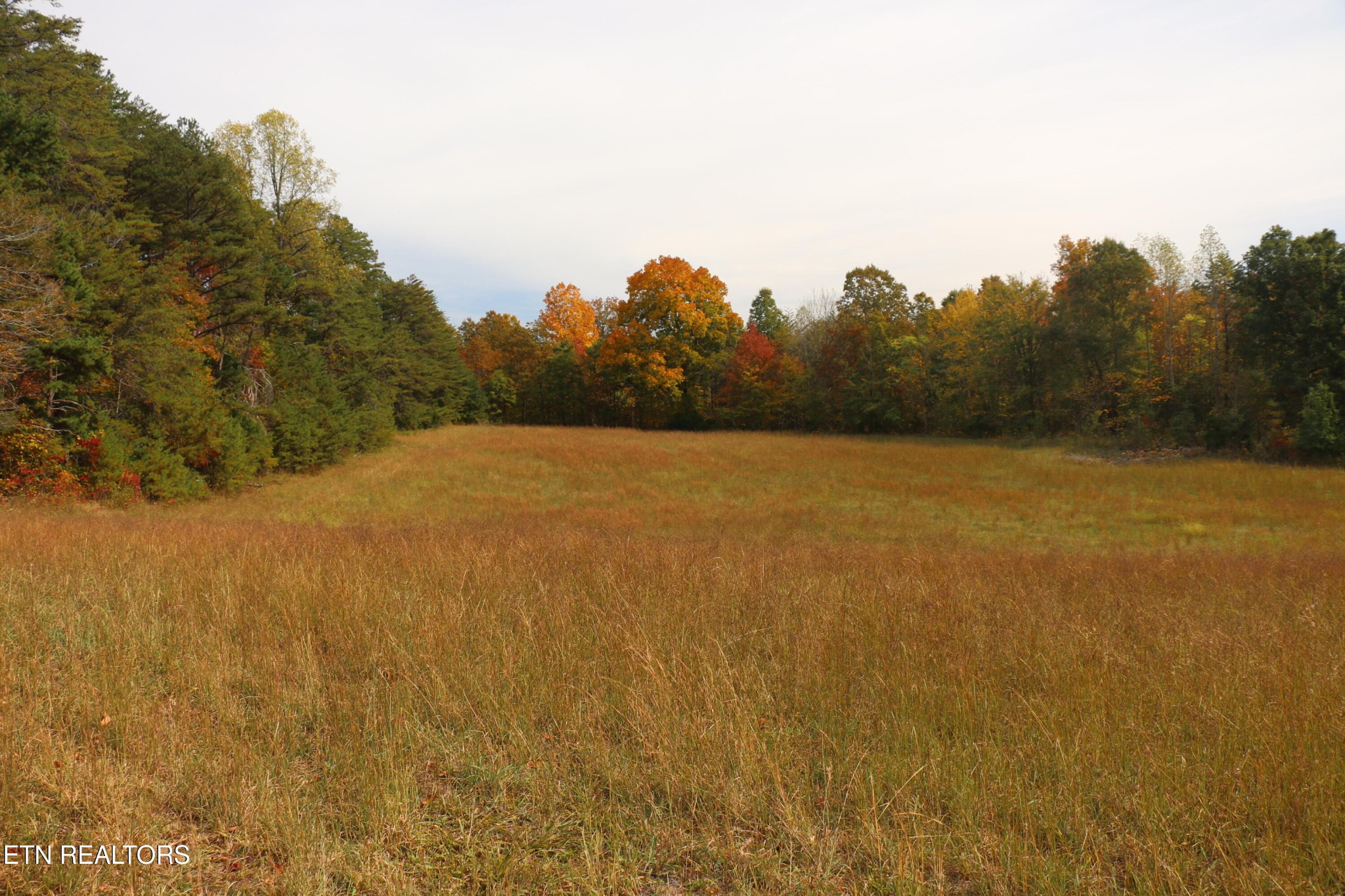 29 Ballplay Road Tellico Plains, TN 37385 - Photo 5 of 20