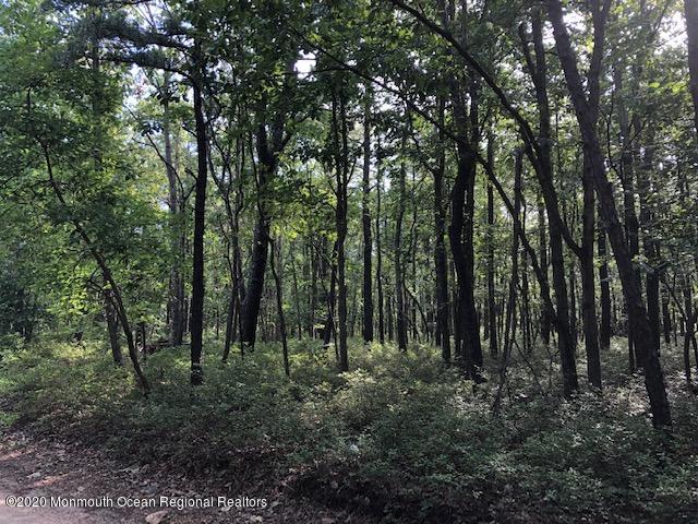 893 Hurley Road Jackson, NJ 08527 - Photo 2 of 4 IMG_2324