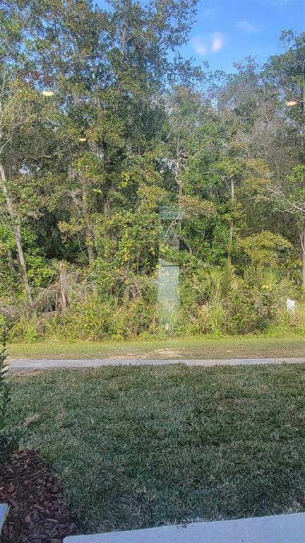 4601 Sparkling Shell Avenue Kissimmee, FL 34746 - Photo 11 of 11