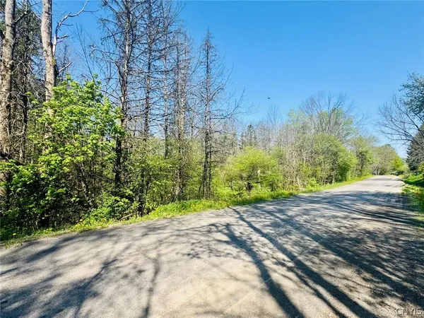 $25,000 | Dog Hollow Road, Truxton, NY 13158