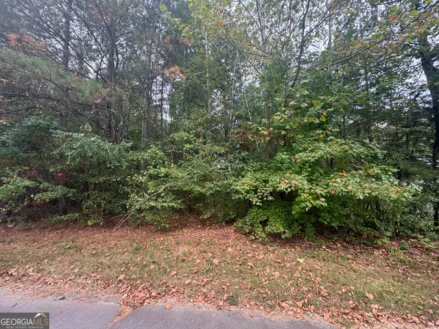 a view of a forest with trees