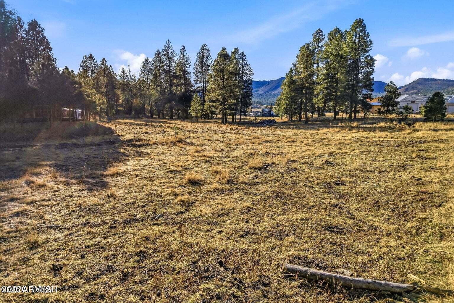 2 North County Road Alpine, AZ 85920 - Photo 11 of 16 a view of outdoor space with trees