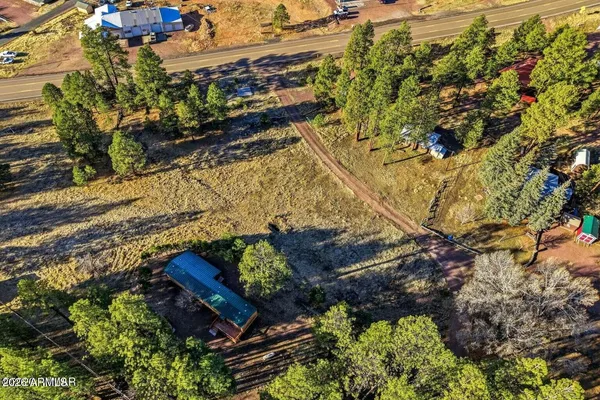 a view of a garden with plants