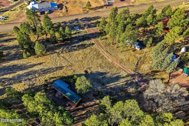 a view of a garden with plants