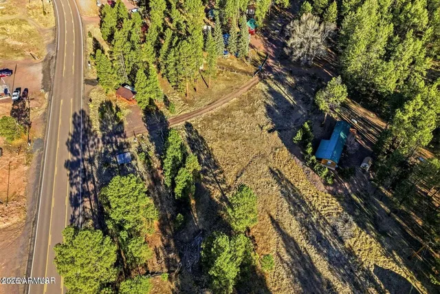 a picture of flowers