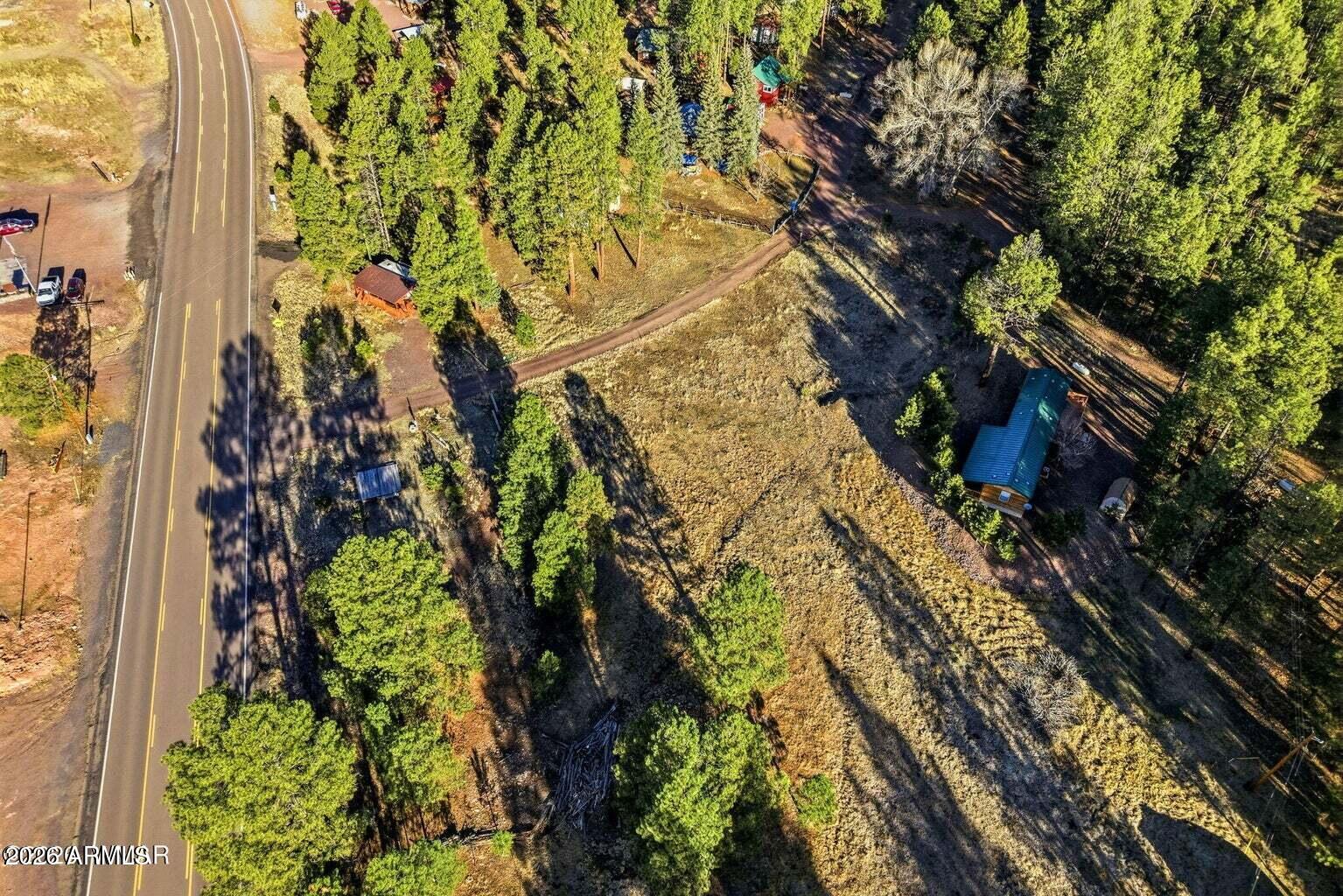 2 North County Road Alpine, AZ 85920 - Photo 14 of 16 a picture of flowers