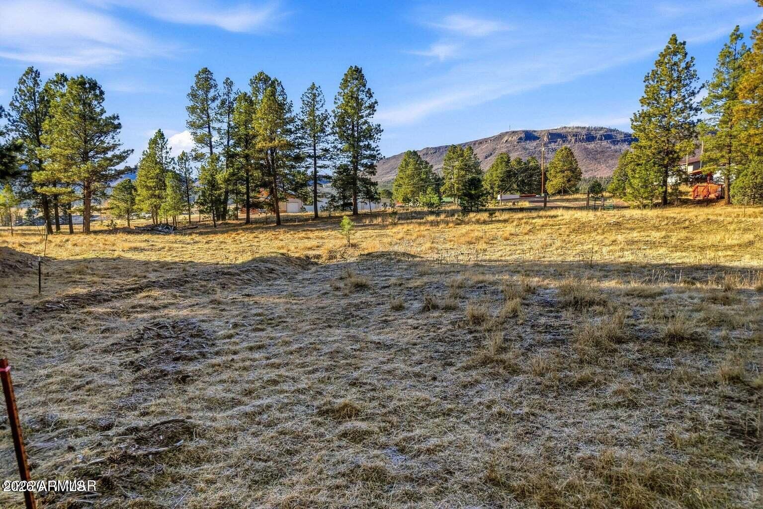 2 North County Road Alpine, AZ 85920 - Photo 8 of 16 a view of yard with large trees