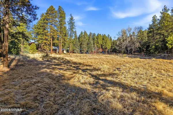 a view of a yard with trees