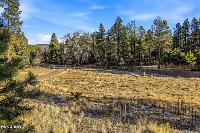 a view of a yard with trees