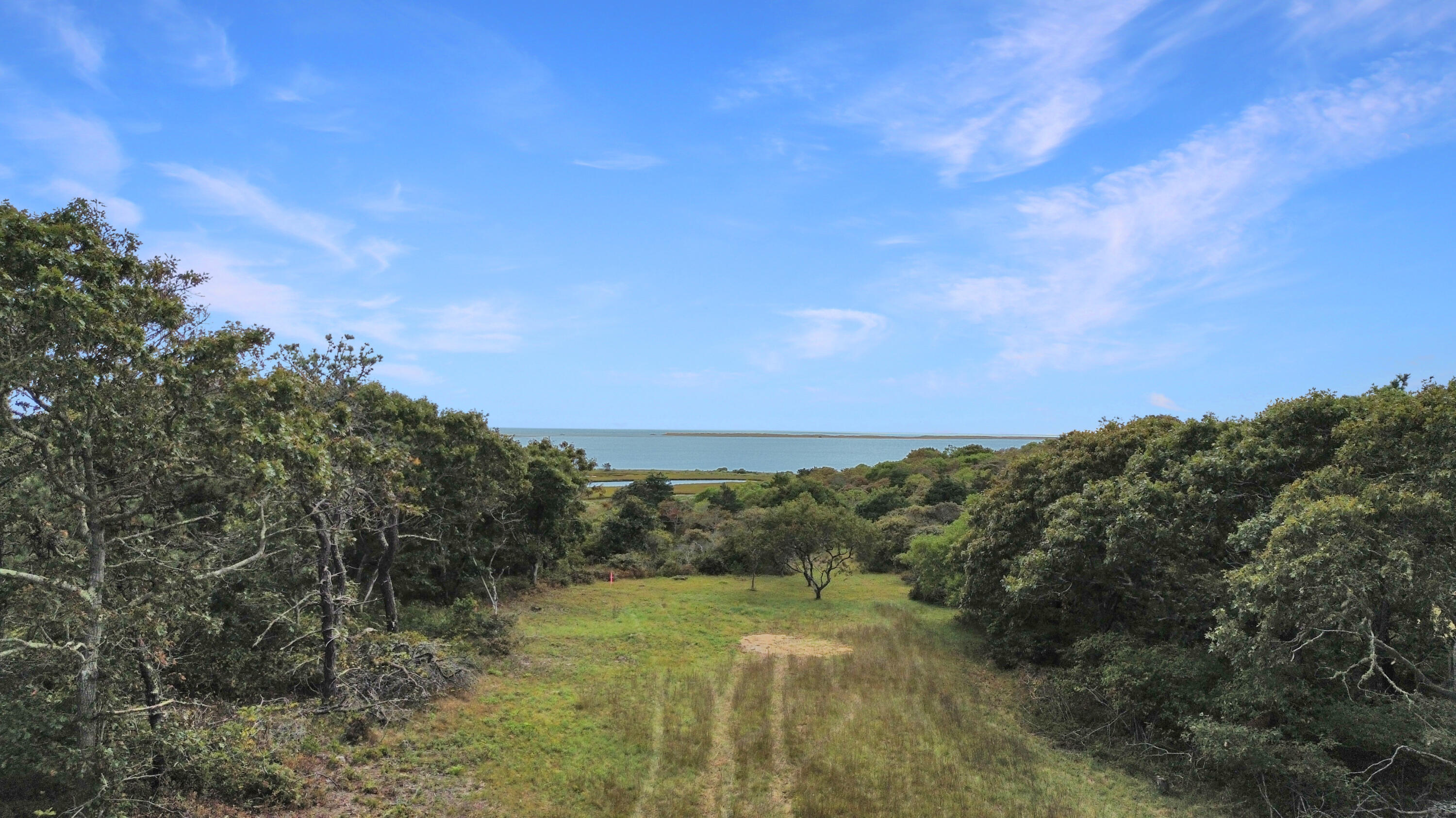 9 Maqua Way Edgartown, MA 02539 - Photo 3 of 9 a view of a city with lush green forest