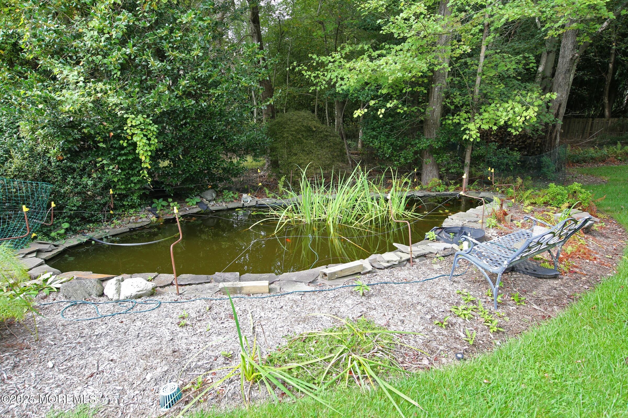 15 Gun Club Road Tinton Falls, NJ 07712 - Photo 28 of 51 Peaceful koi pond