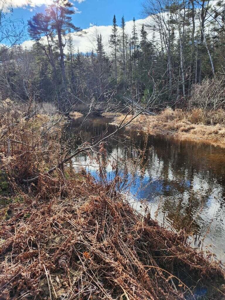 86 Oak Hill Road Belfast, ME 04915 - Photo 2 of 6