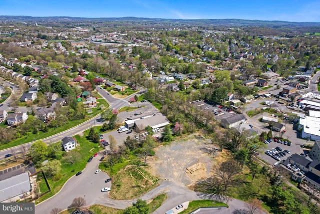 a view of a park with large trees