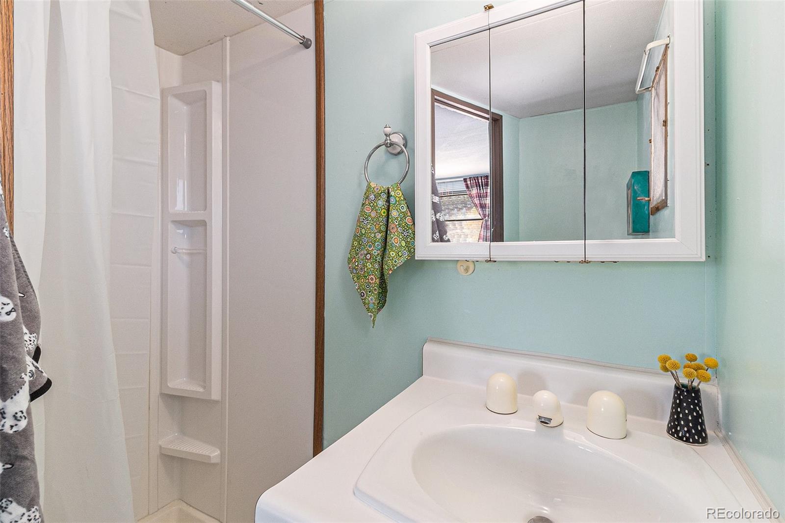 400 West South Boulder Road Louisville, CO 80027 - Photo 9 of 24 a bathroom with a sink and a mirror