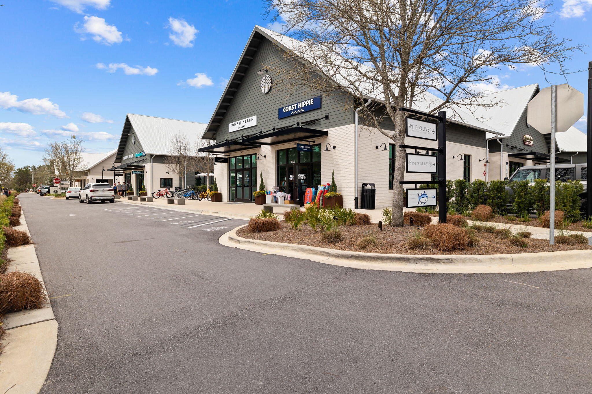 63 Sawgrass Lane Santa Rosa Beach, FL 32459 - Photo 42 of 51