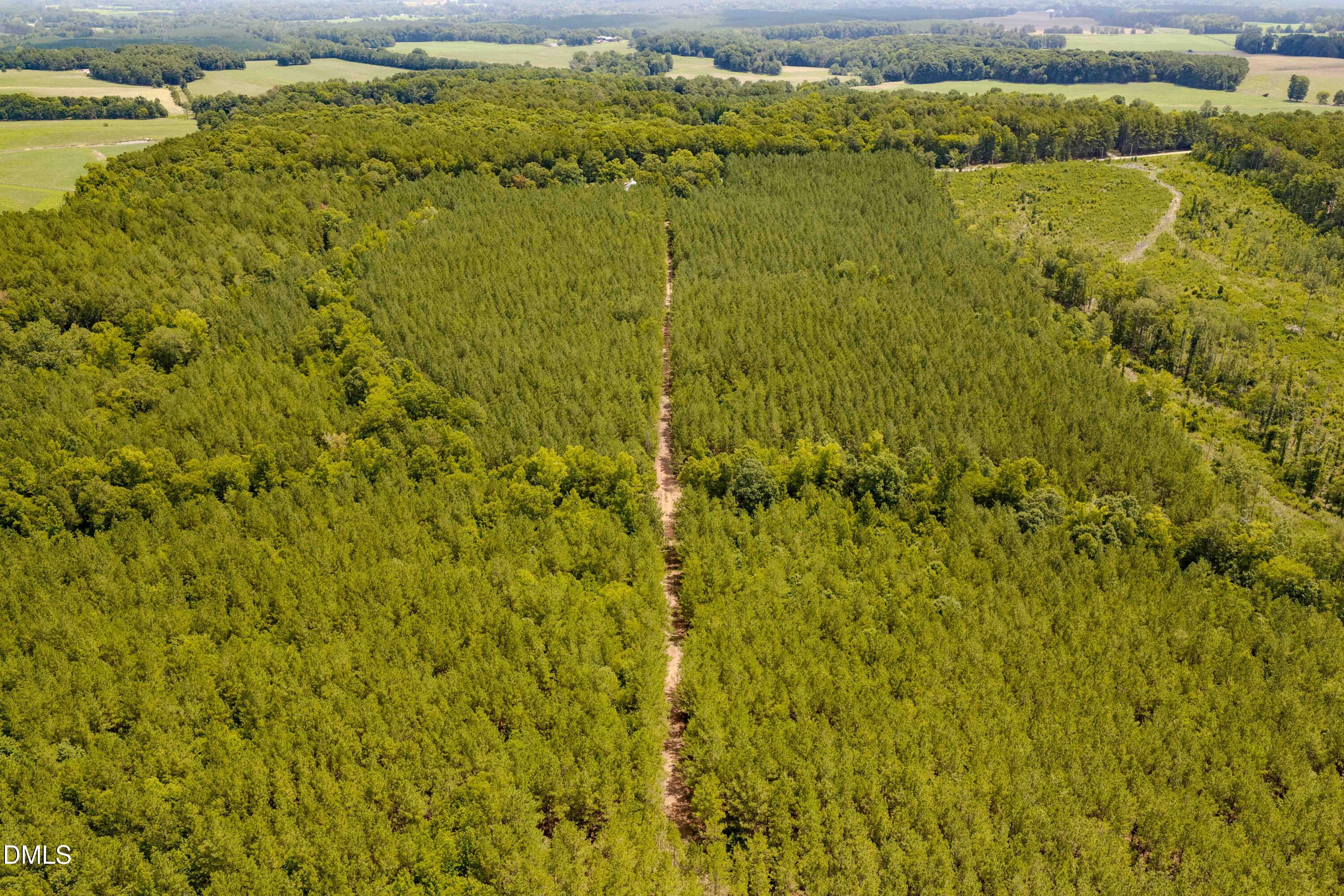 0 Haw Branch Road Sanford, NC 27330 - Photo 21 of 41 Chatham Lumber 77.2 Drone-8
