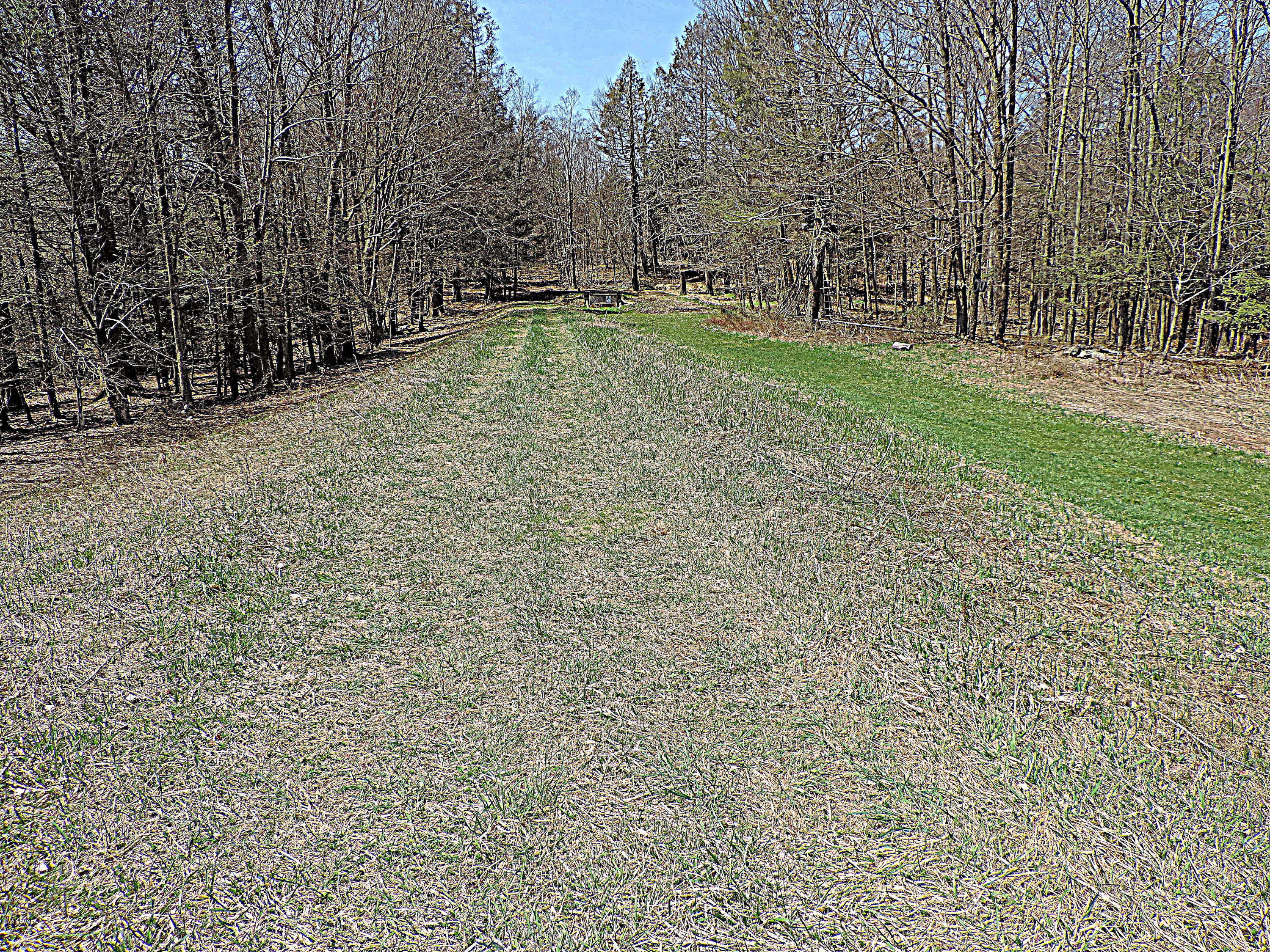 441 Huckleberry Road Newfoundland, PA 18445 - Photo 54 of 58