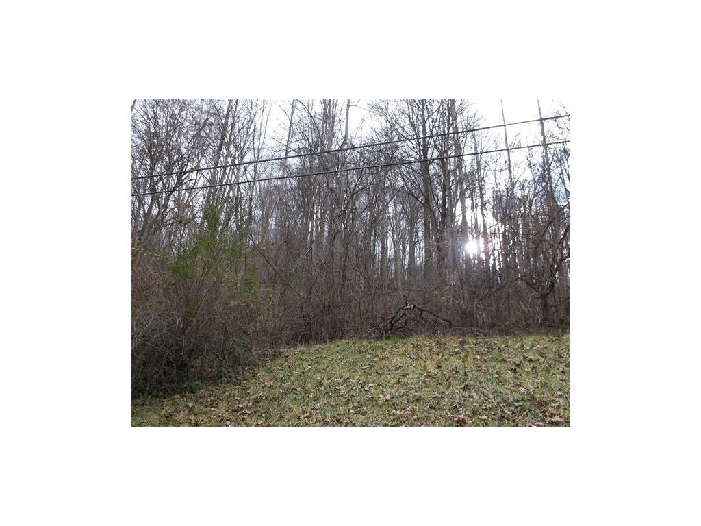 631 Red Hill Road Gate City, VA 24251 - Photo 5 of 7 Photo 5