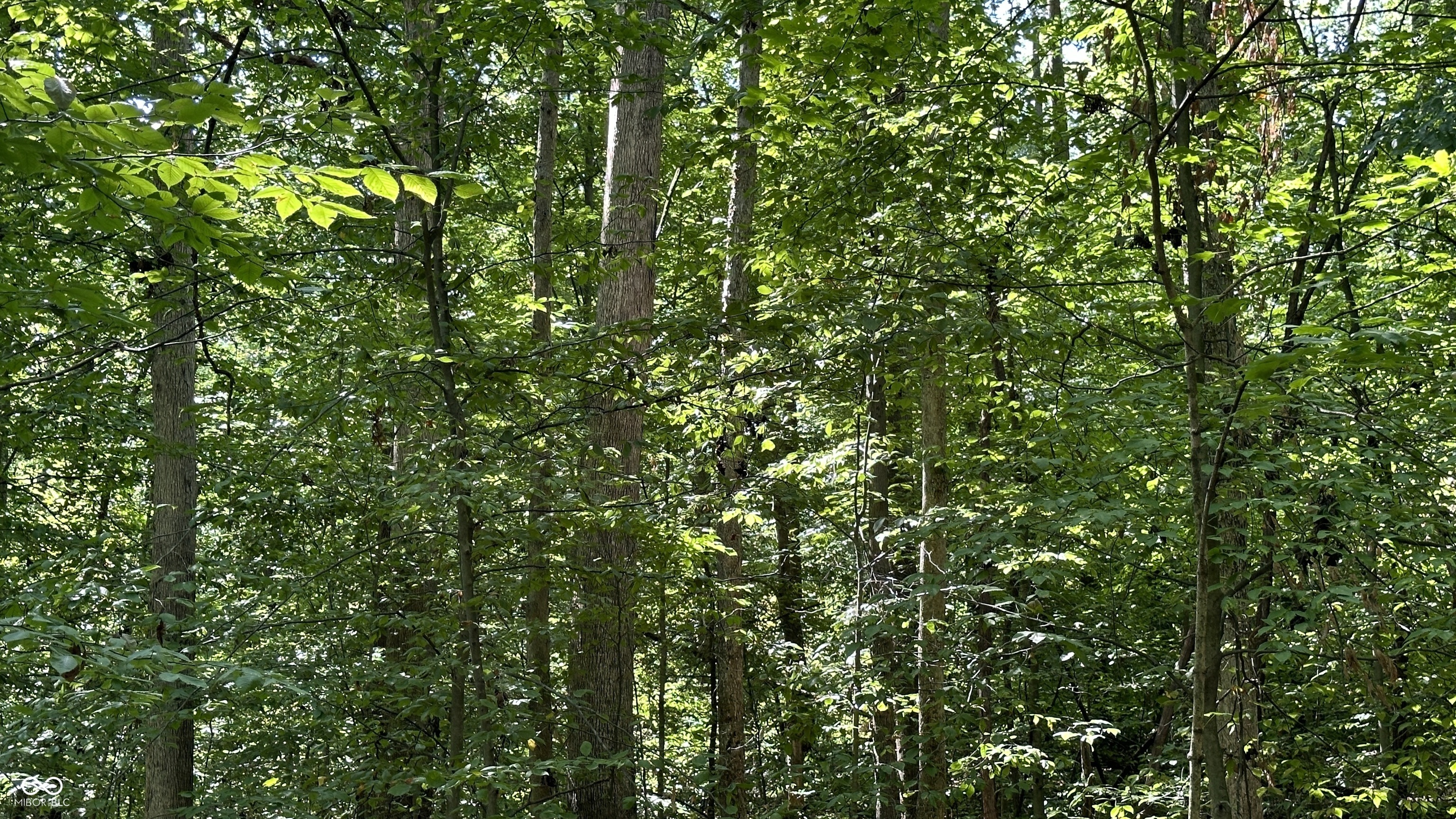 5 Reynolds Road Coal City, IN 47427 - Photo 2 of 16