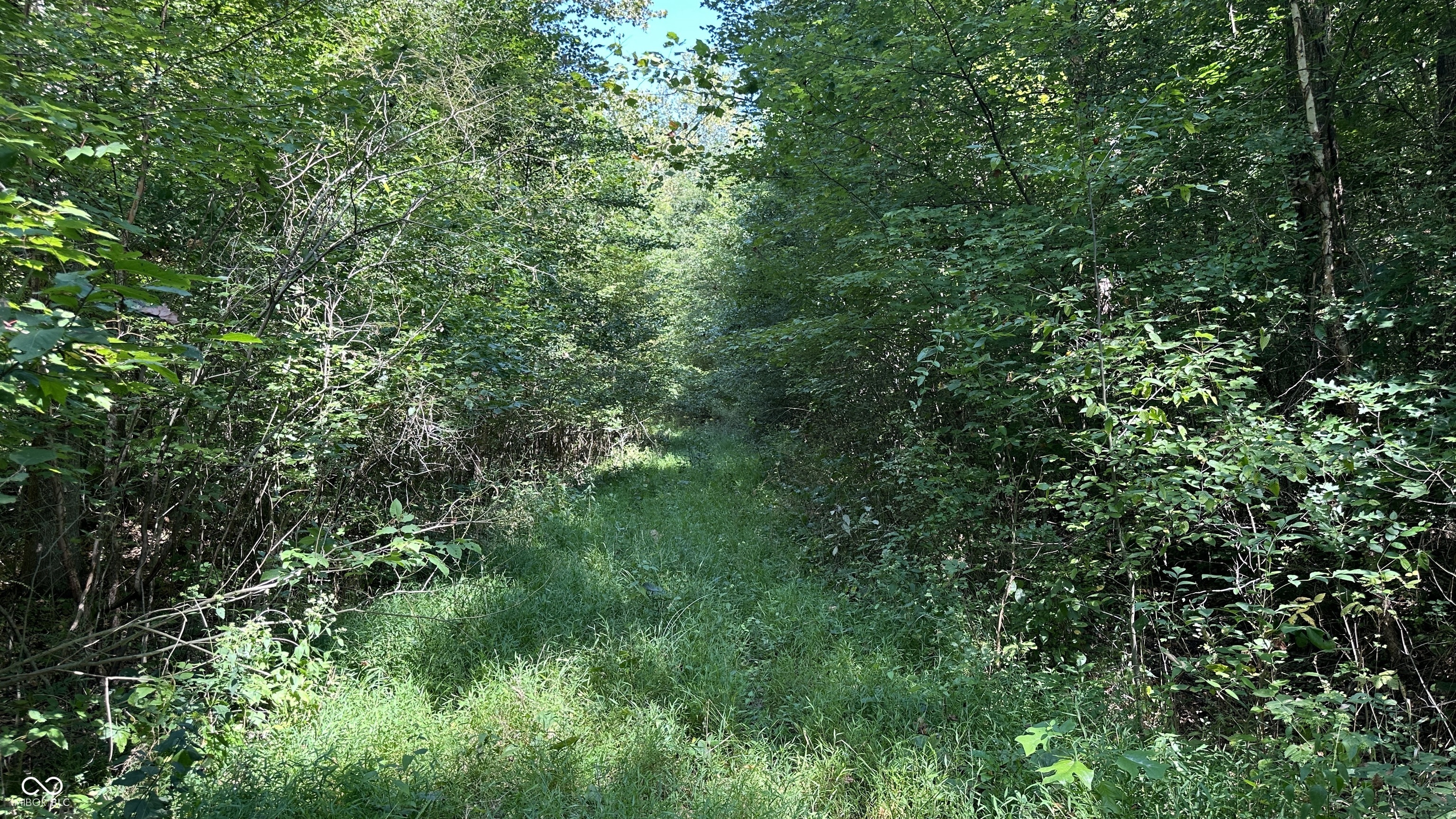 5 Reynolds Road Coal City, IN 47427 - Photo 4 of 16