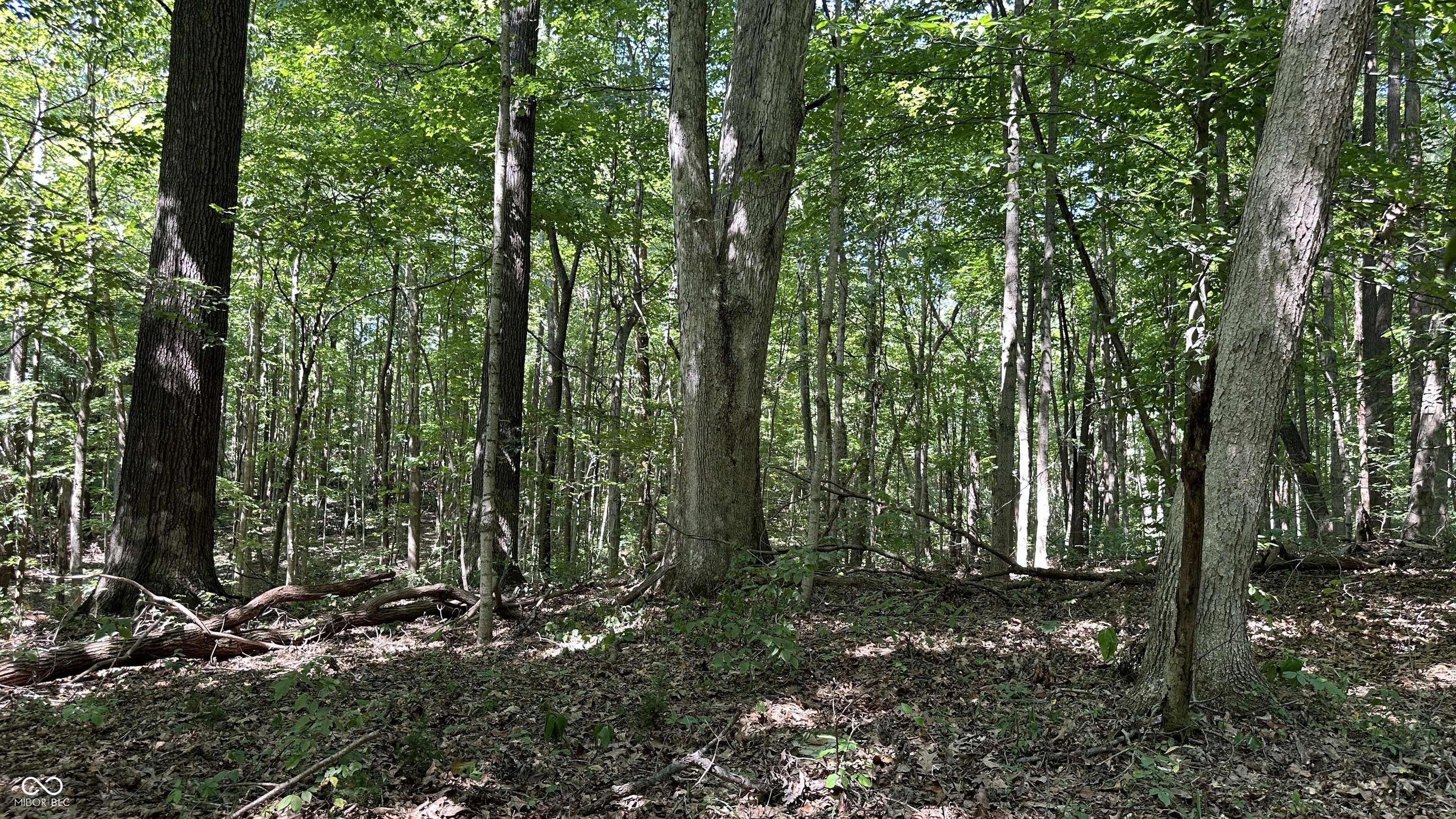 5 Reynolds Road Coal City, IN 47427 - Photo 9 of 16