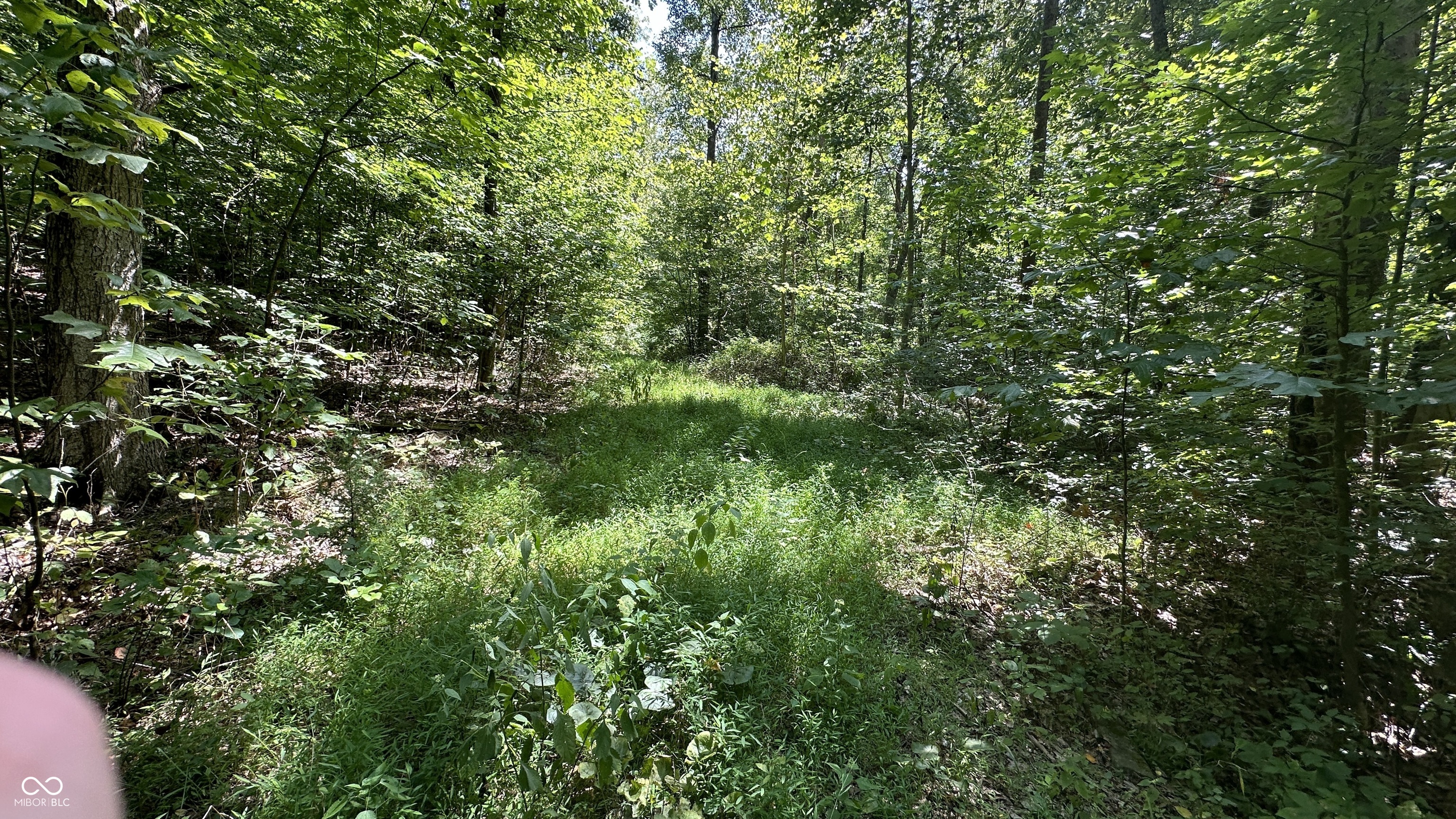 5 Reynolds Road Coal City, IN 47427 - Photo 10 of 16