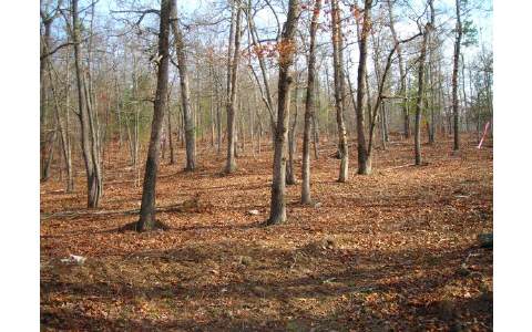 Lt A Jonica Gap Road Morganton, GA 30560 - Photo 1 of 1 Main View