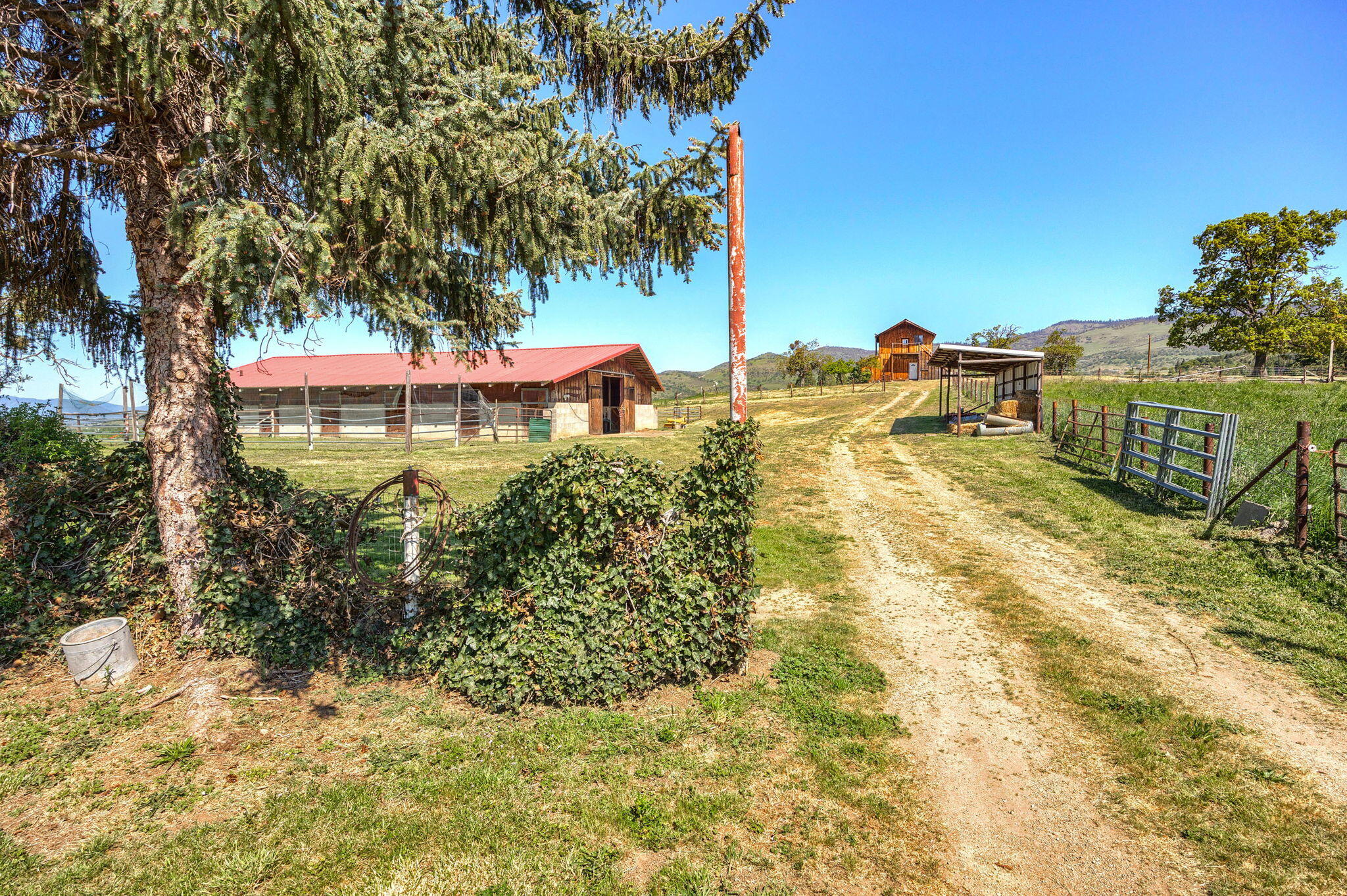 1249 North Valley View Road Ashland, OR 97520 - Photo 10 of 30 Road to Tax lots 200 & 300