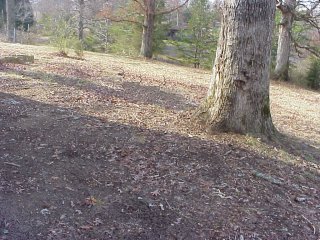 272 Highwater Road Soddy Daisy, TN 37379 - Photo 2 of 4 Additional Photo
