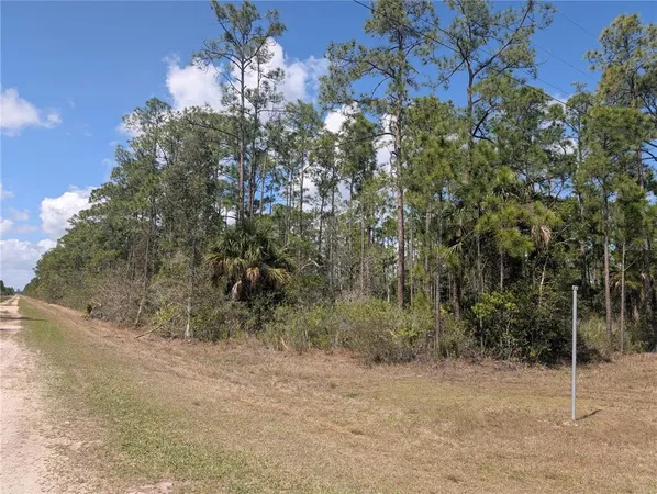 $15,000 | 802 Althea Drive, Indian Lake Estates, FL 33843